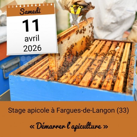 Stage apicole - Démarrer l'apiculture - Fargues-de-Langon (33)