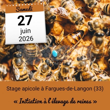 STAGE APICOLE LANGON - L'ELEVAGE