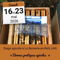 STAGE APICOLE PORNIC - BONNES PRATIQUES APICOLES