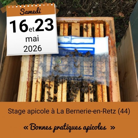 STAGE APICOLE PORNIC - BONNES PRATIQUES APICOLES