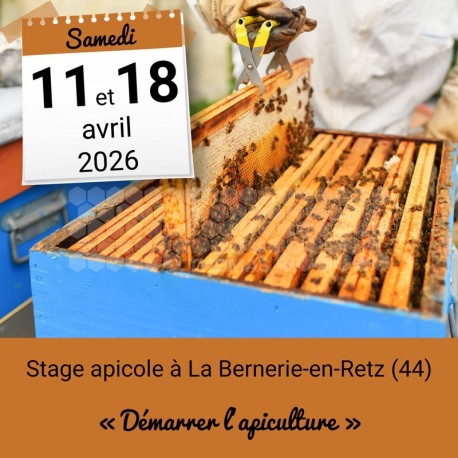 STAGE APICOLE PORNIC - DEMARRER L'APICULTURE