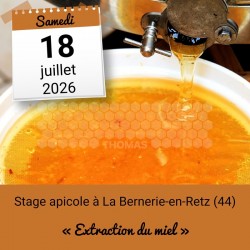 STAGE APICOLE PORNIC - PREPARATION A L'HIVERNAGE