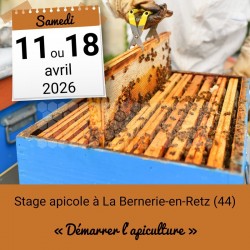 STAGE APICOLE PORNIC - DEMARRER L'APICULTURE