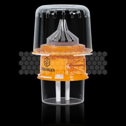 Piège à frelons asiatiques sélectif Good4bees v2