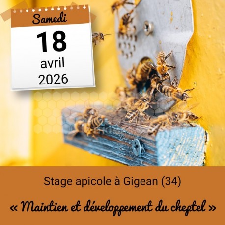 STAGE APICOLE GIGEAN - MAINTIEN ET DEVELOPPEMENT DU CHEPTEL