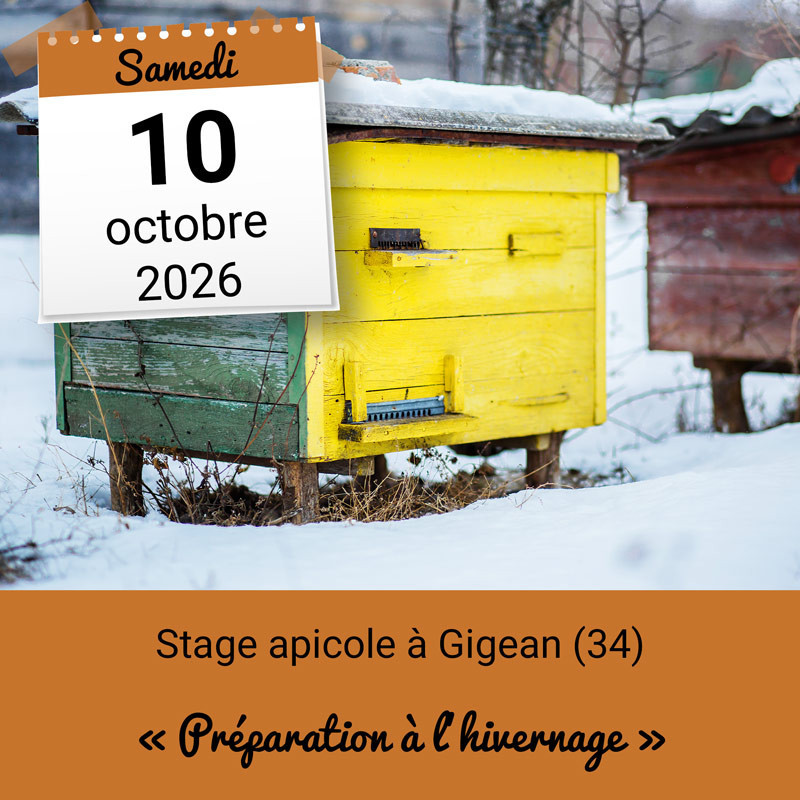 Stage apicole - Préparation à l'hivernage - Gigean (34)