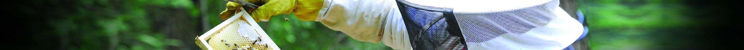 Les gants pour l’apiculture