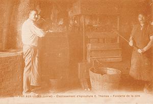 1905 - Depart Thomas Apiculture