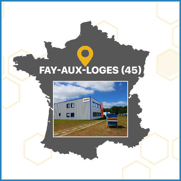 Essaims Fay-aux-Loges (45)