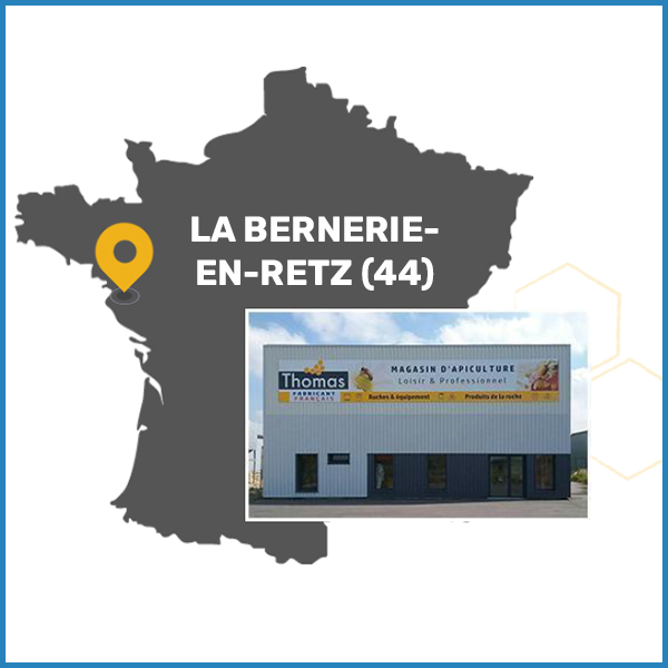 1 photo magasin + carte - La Bernerie-en