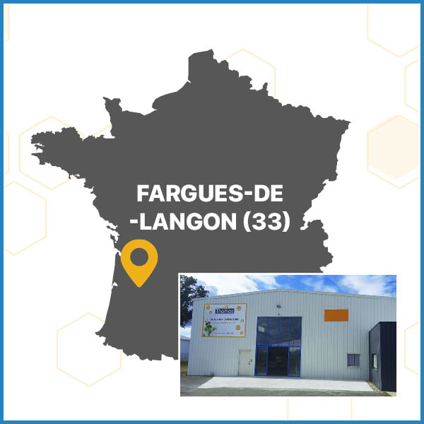Essaims Fargues-de-Langon (33)