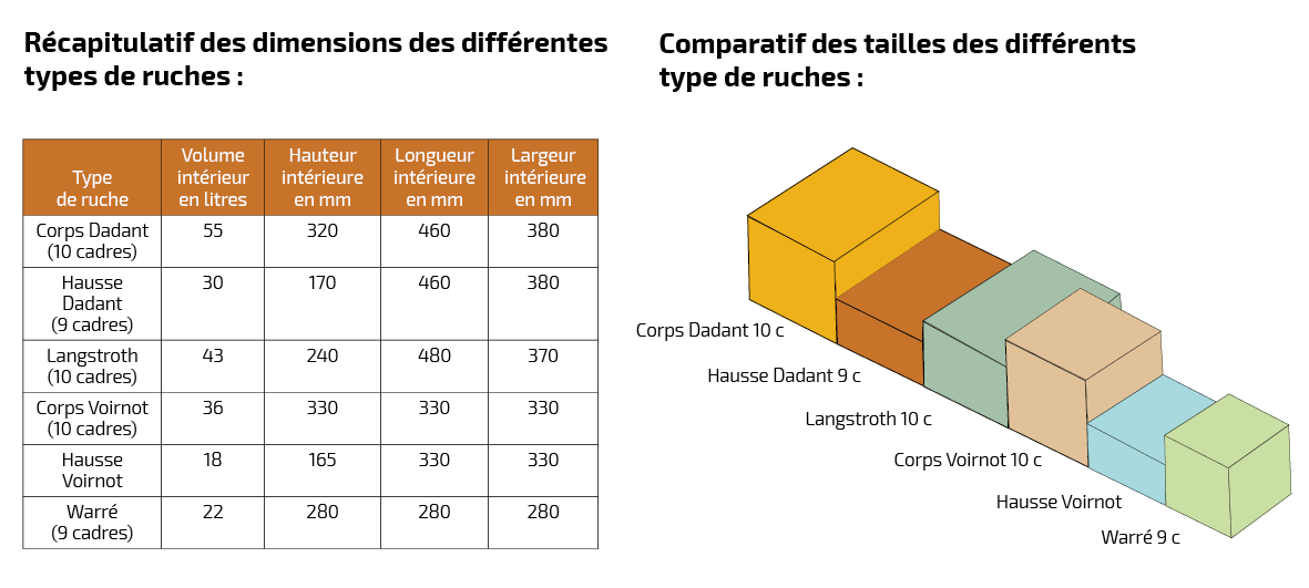 dimensions ruche.png